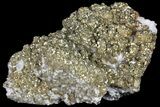 Pyrite On Calcite - El Hammam Mine, Morocco #80733-1